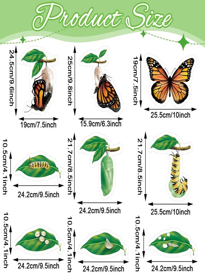 Relaxweex 9 Pcs Magnetic Butterfly Life Cycle Toys for Kid Caterpillar to Monarch Butterfly Growth Cycle Toy Insect Figures for Kids Education Preschool Classroom Insect Themed Teaching Tools Supplies - Image 2
